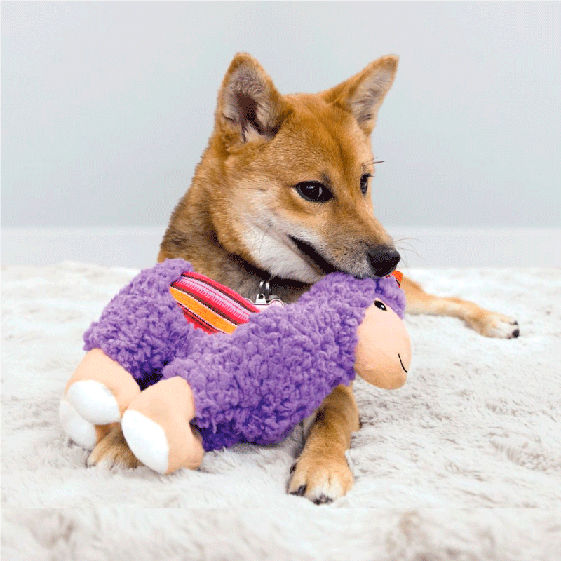 kong peluche kong peluche